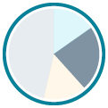 IT Platforms pie chart